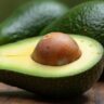 Are Avocados Low Carb? Here’s Why Everyone Loves Them