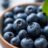 Are Blueberries Low Carb? Get the Berry Facts